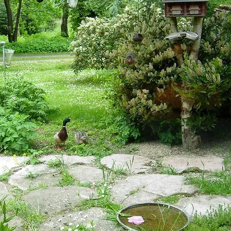 Bed and Breakfast Heddahgaarden