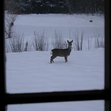 Heddahgaarden Bredal